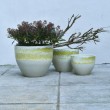 Vaso svasato basso avorio con fascia sfumata  ⩛ vendtia online In•Vasi