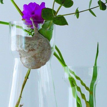 Vaso in vetro cattedrale moderno con fascia alta - online su In•Vasi