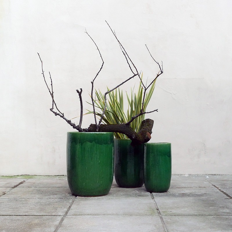 Vaso e sottovaso per orchidee S colore verde