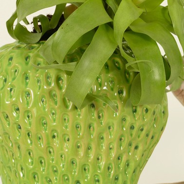 Vaso fragola verde - vendita online su In-Vasi