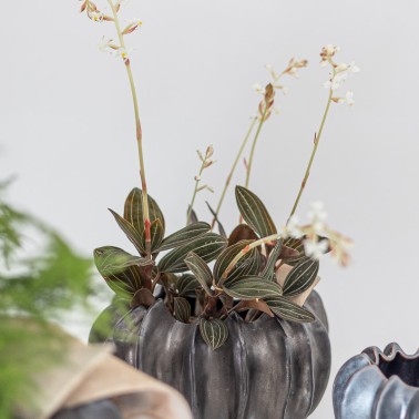 Vaso in porcellana color antracite a coste verticali - vendita online su In-Vasi