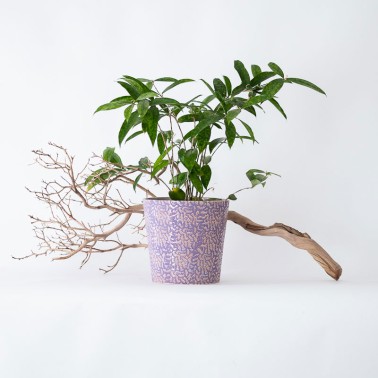 Vaso in terracotta lilla moderno - vendita online su In-Vasi