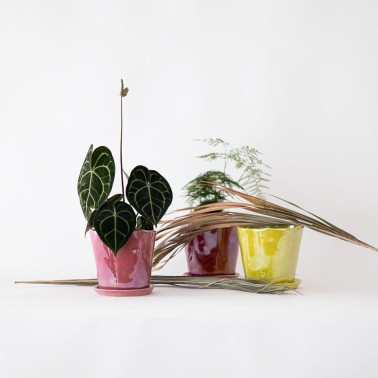 Vaso colorato con sottovaso - vendita online su In-Vasi