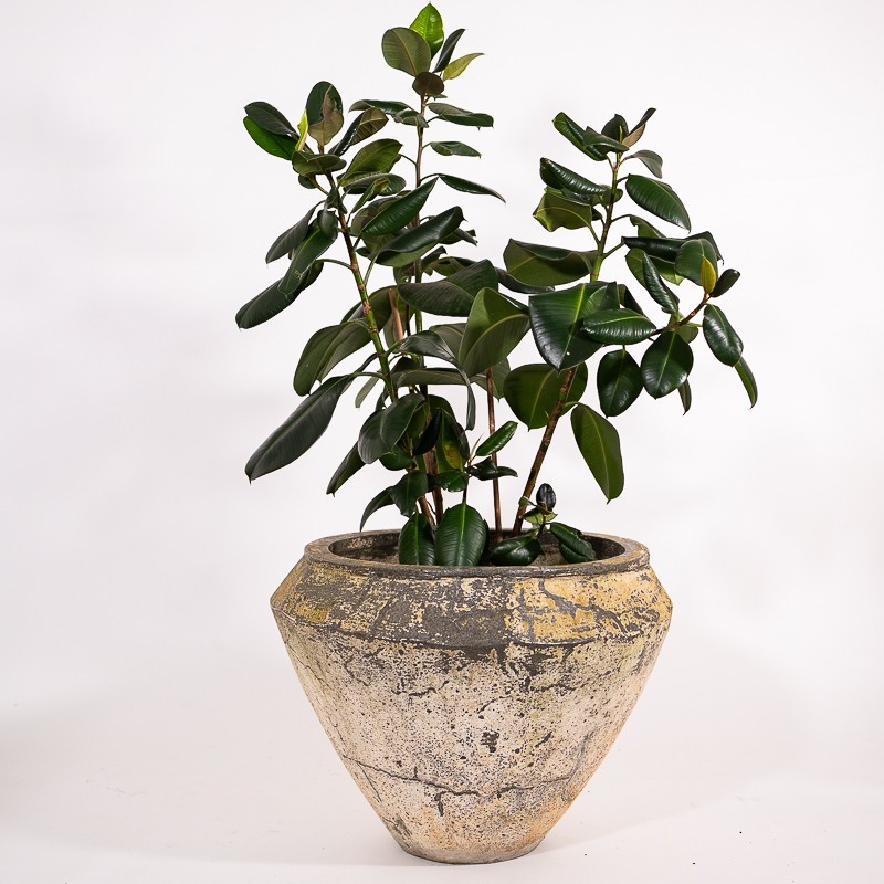 Vaso terracotta vietnamita sfumato anticato - vendita online In-Vasi