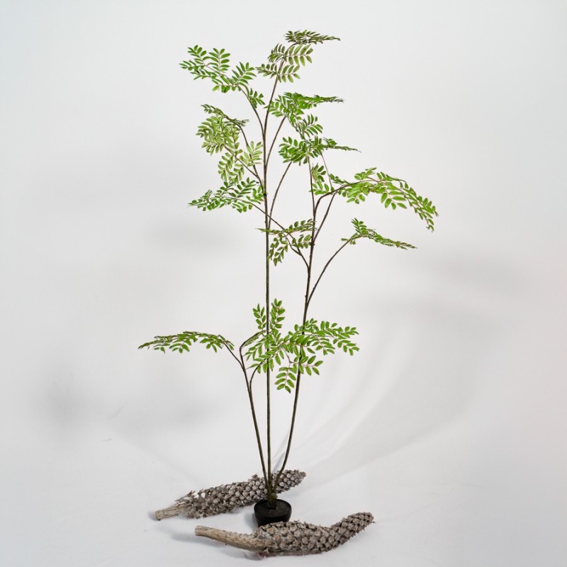 Pianta finta di Aralia verde