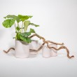 Vaso cilindrico bianco moderno con linee orizzontali