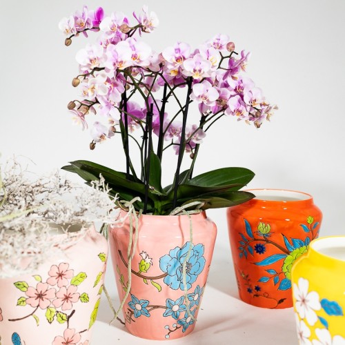Vaso in porcellana decorato - Scoprilo su invasi.eu