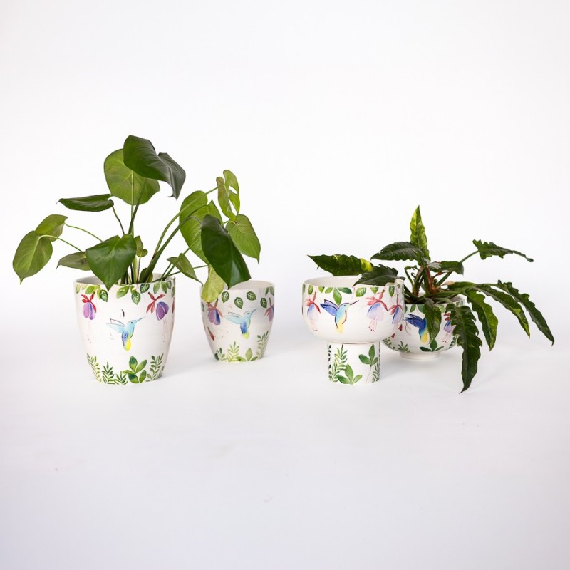 Vaso colibri aperto - Scoprilo su invasi.eu